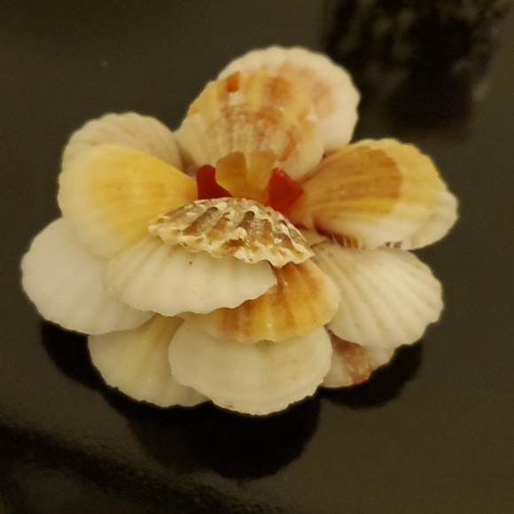 Home decor shell flower - Picture 3 of 6